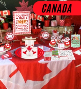 Canada Day Party Decorations Protest Signs